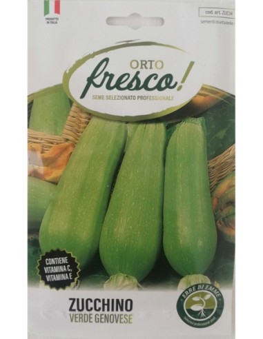 Zucchino Verde Genovese