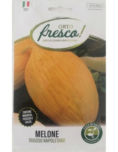 Melone Rugoso Napoletano