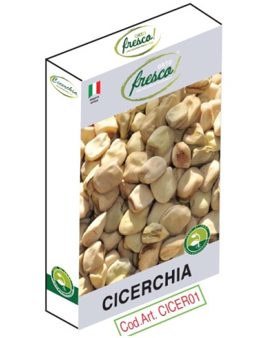 CICERCHIA