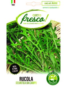 SEMI RUCOLA COLTIVATA FOGLIA LARGA BUSTA MAGNUM FRANCHI