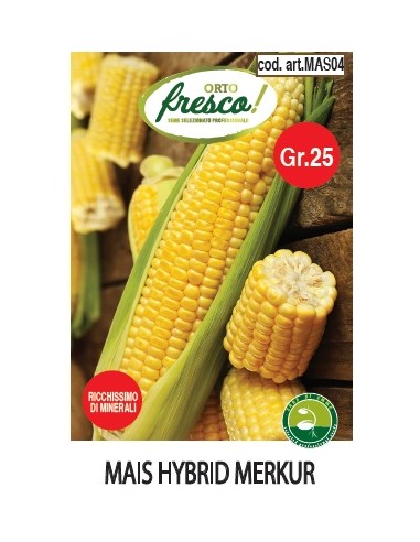 Mais Hybrid Merkur