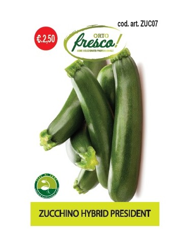 Zucchino Hybrid President