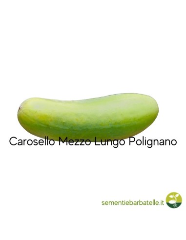 Carosello Mezzo Lungo Polignano