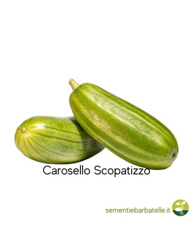 Carosello Scopatizzo